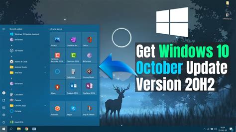 windows catalog 20h2.